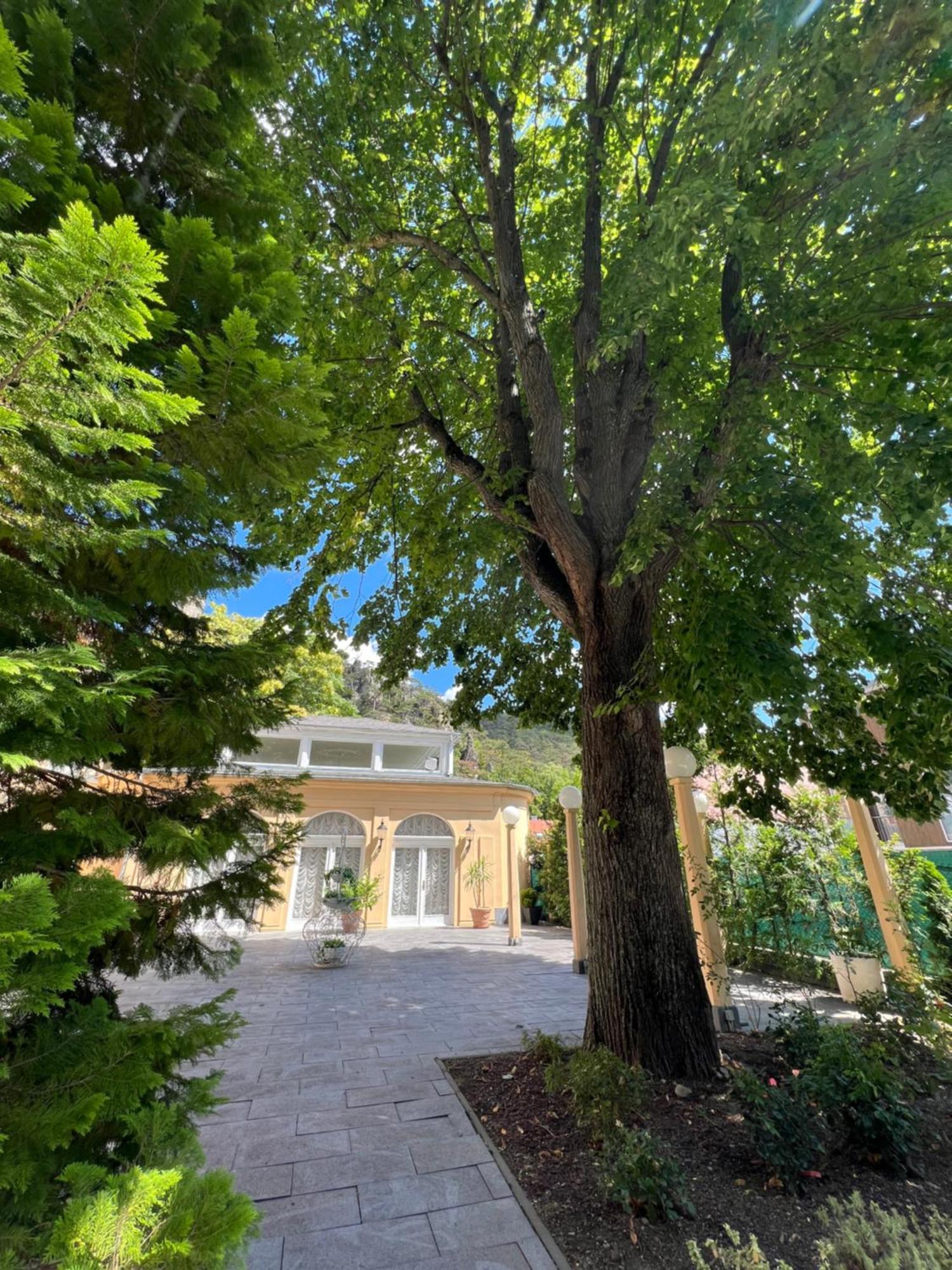 Wienerwald Residenz Baden Eksteriør billede